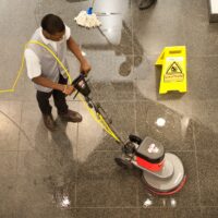 Home Termite Control: How to Protect Premium Interiors Before Damage Spreads