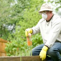 Pest Control Blue Mountains: How Pet Owners Can Keep Homes Safer Without Overlooking Infestations